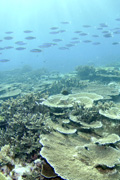 img04.jpg