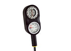 Beans GAUGE
