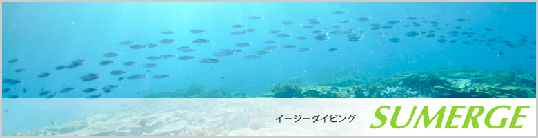 イージーダイビング SUMERGE