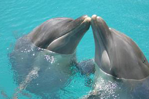img07.jpg
