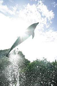 img03.jpg