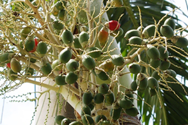 img16.jpg