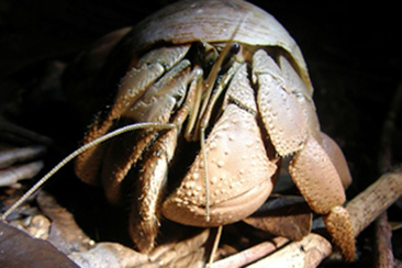 img21.jpg