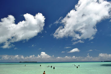 img27.jpg