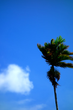 img62.jpg