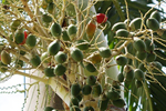 img16.jpg img16.jpg