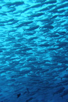 img19.jpg img19.jpg