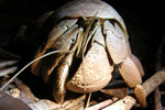 img21.jpg img21.jpg