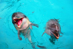 img89s.jpg
