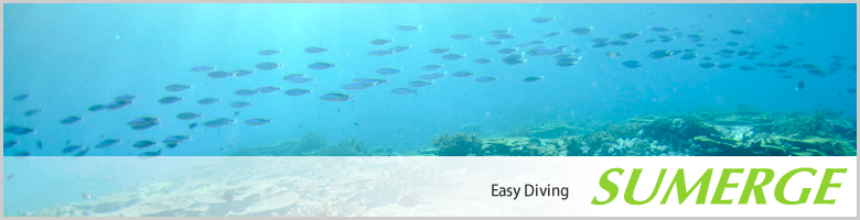Easy Diving SUMERGE