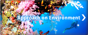 Approach on Environment