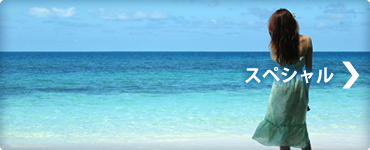 スペシャル