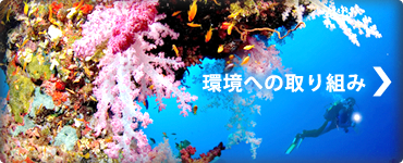 環境への取り組み