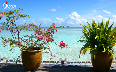 11wp01-370x230.jpg